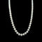 5.5mm-5.9mm Cultured Akoya Vintage Pearl Necklace Yellow Gold - J42716